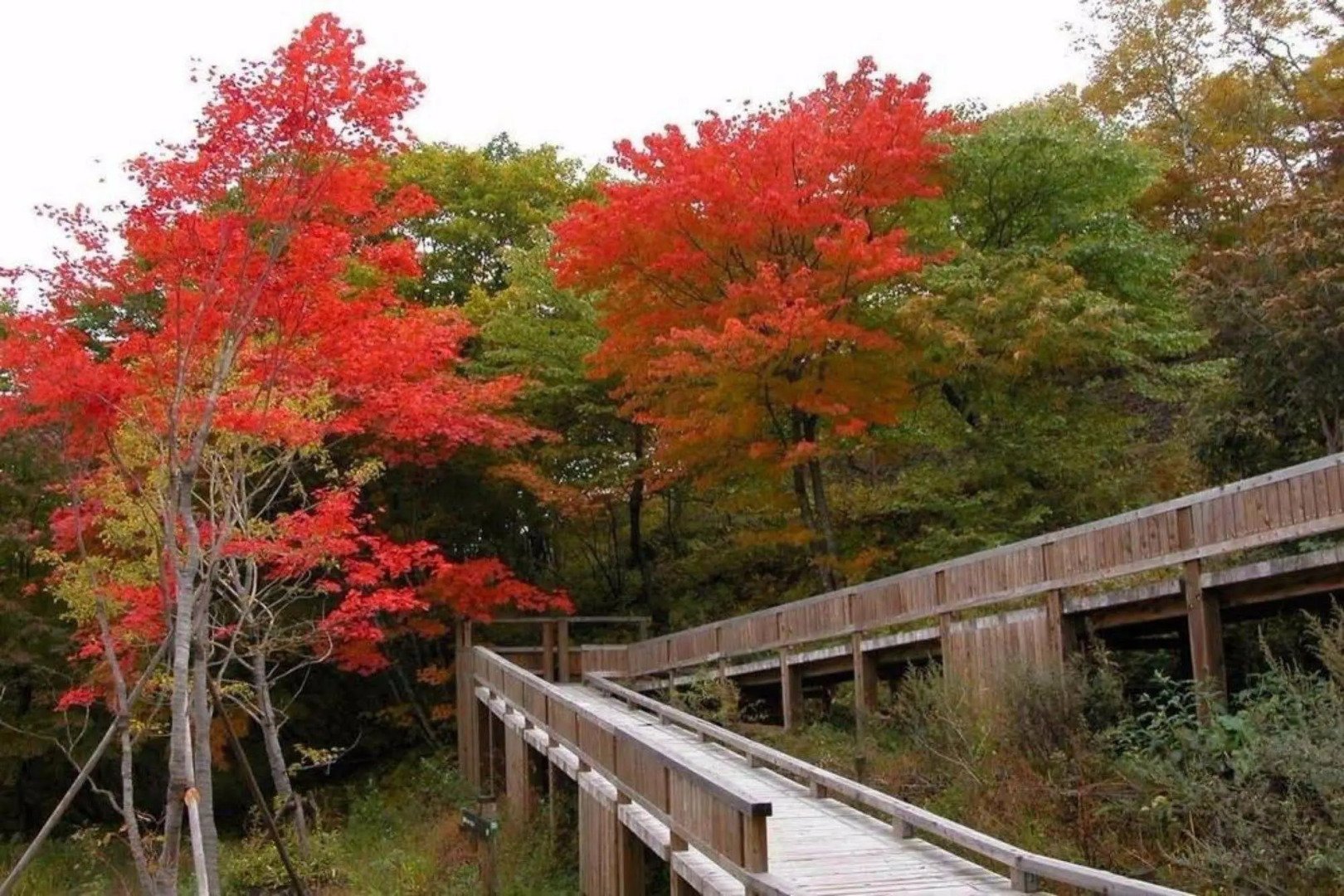 Kyukamura Tsumagoi-Kazawa
