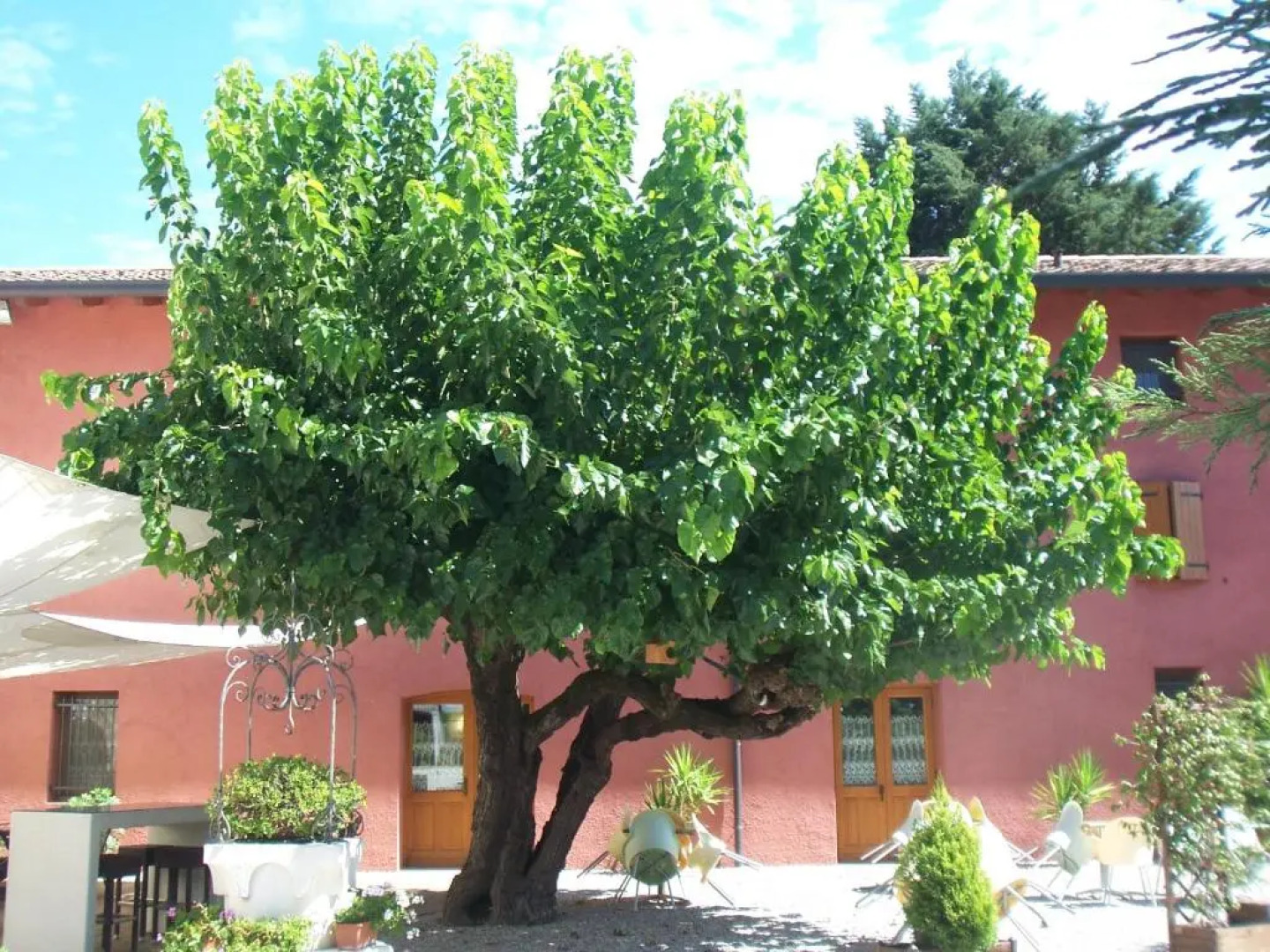 Agriturismo Al Casale