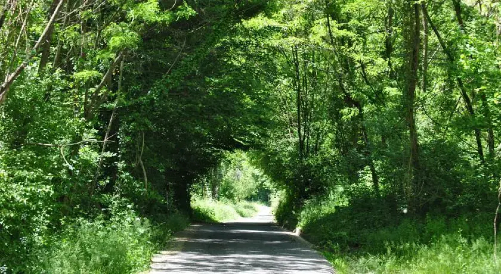 Mozzanella Holiday Home in Garfagnana