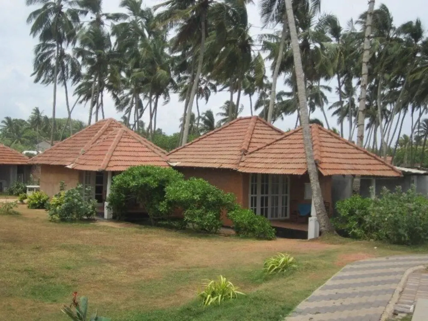 Saffron Beach