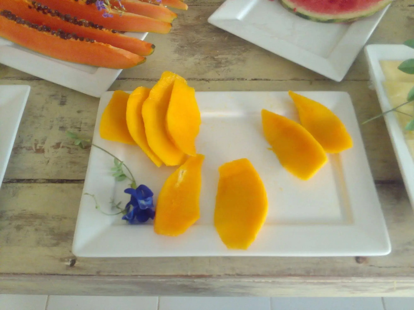 Hotel Ocean Imperium