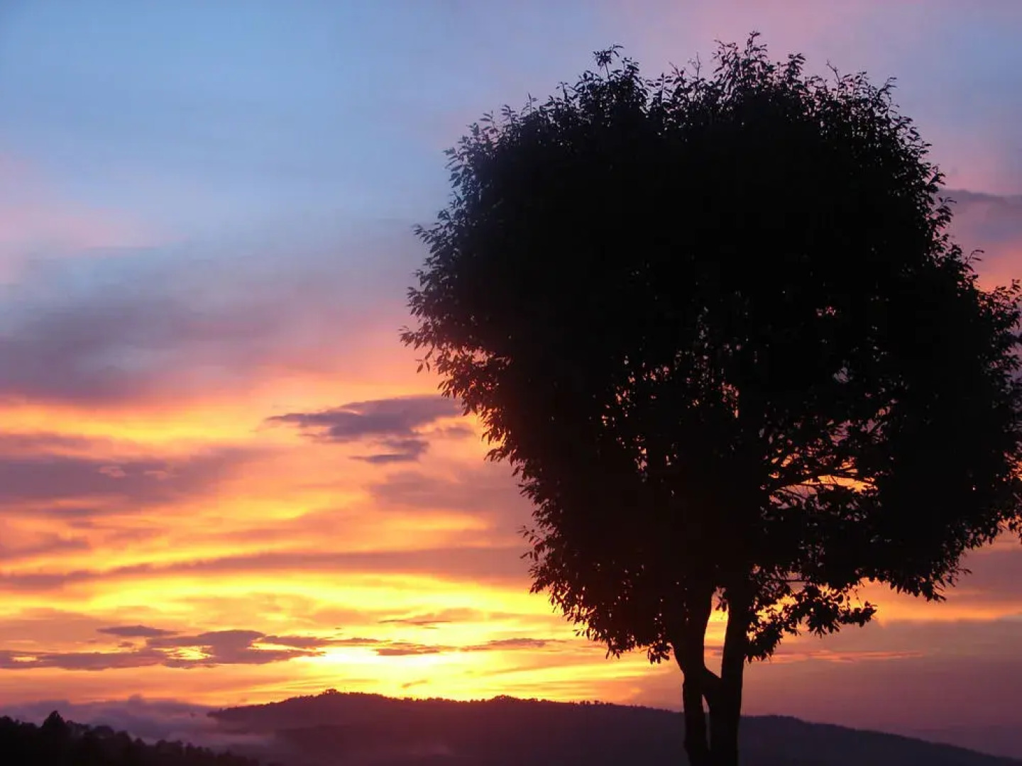 Anant Rasa, Shitlakhet