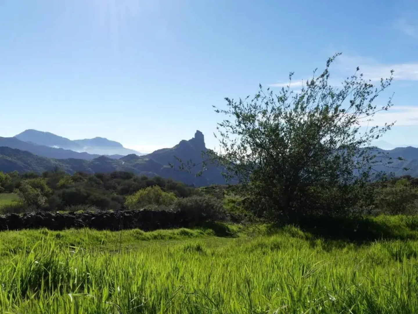 Mountain Hostel Finca la Isa