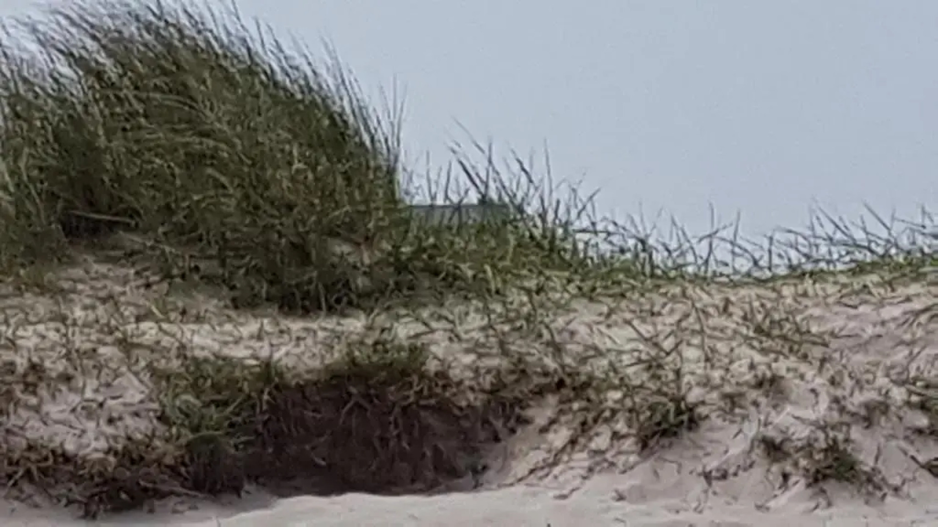 Ferienwohnung Möwennest