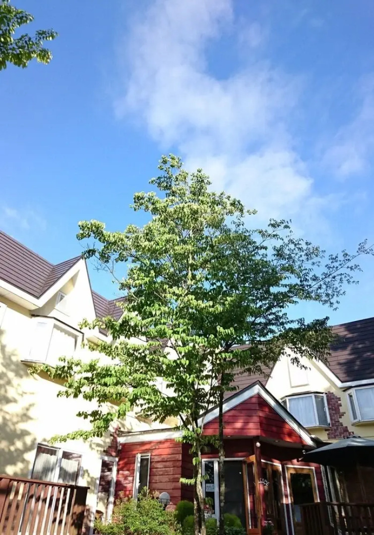 Lake Side Inn Baked Potato