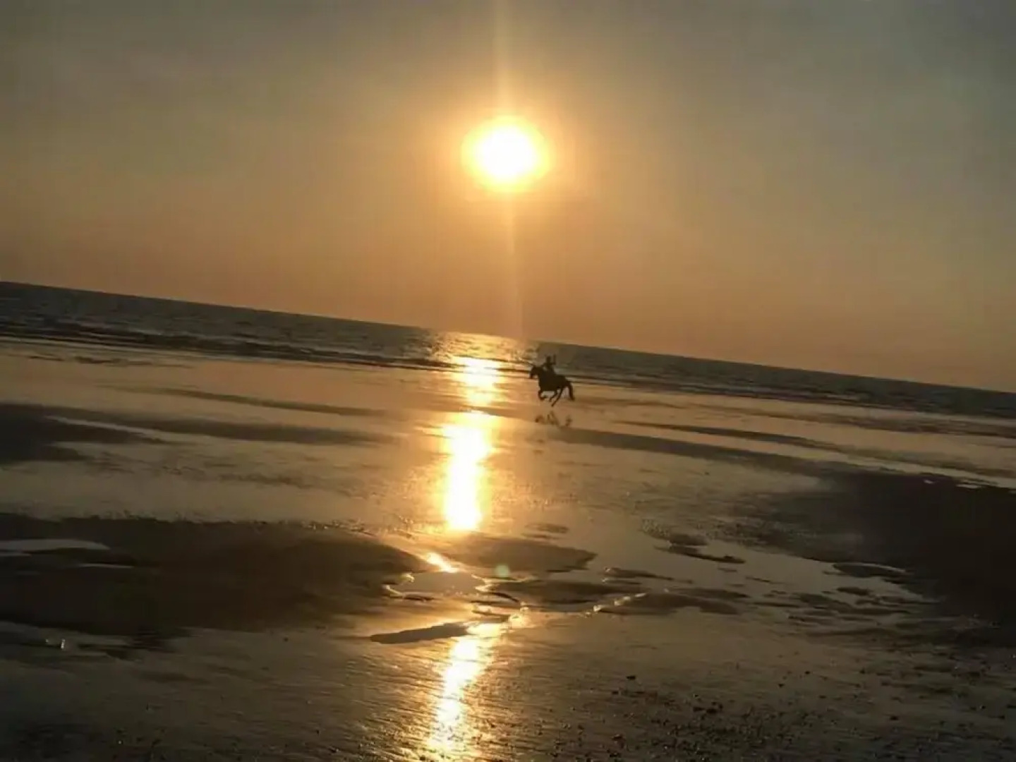 Domaine des Z'Ailés Les Roulottes