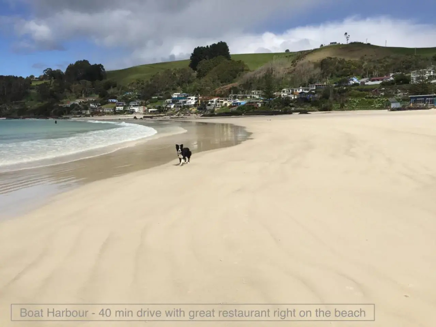 Penguin Seaside Homestay