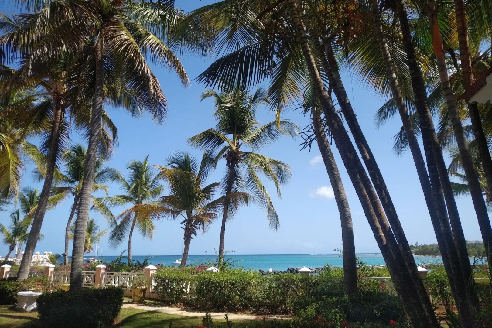 Coco Reef Resort and Spa