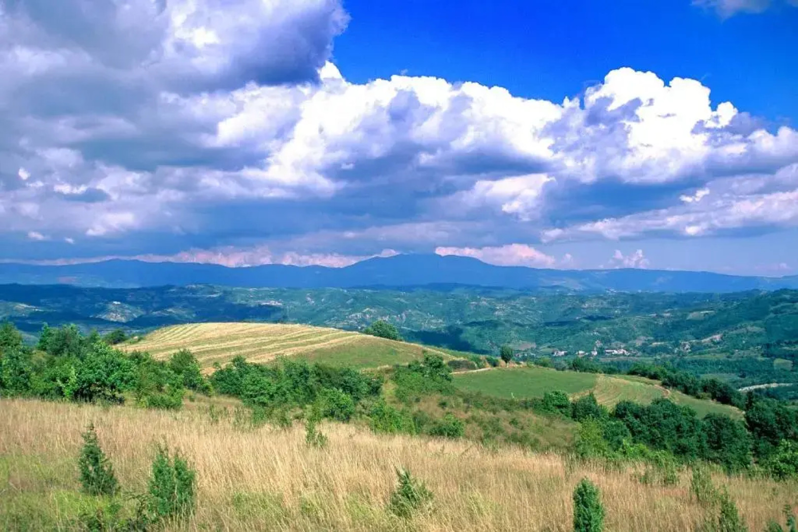Ines in Barban - Haus für 4-5 Personen