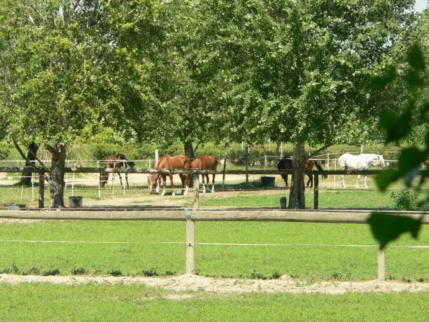 Agriturismo San Francesco