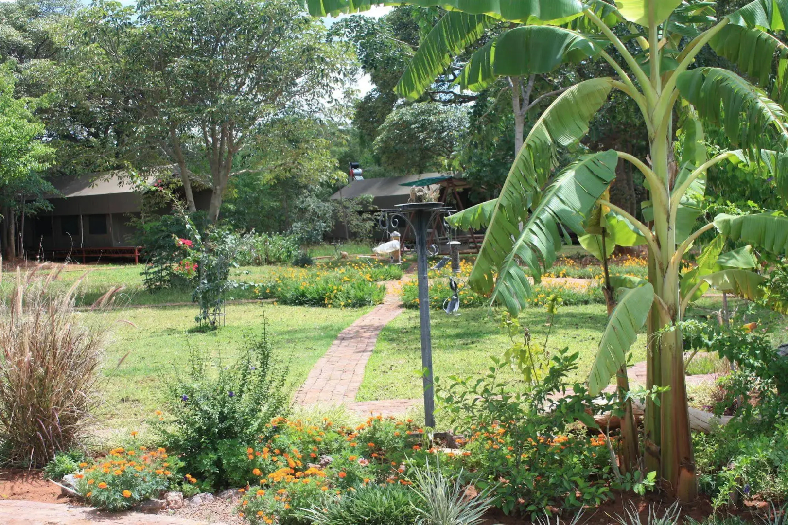 Prana Tented Camp