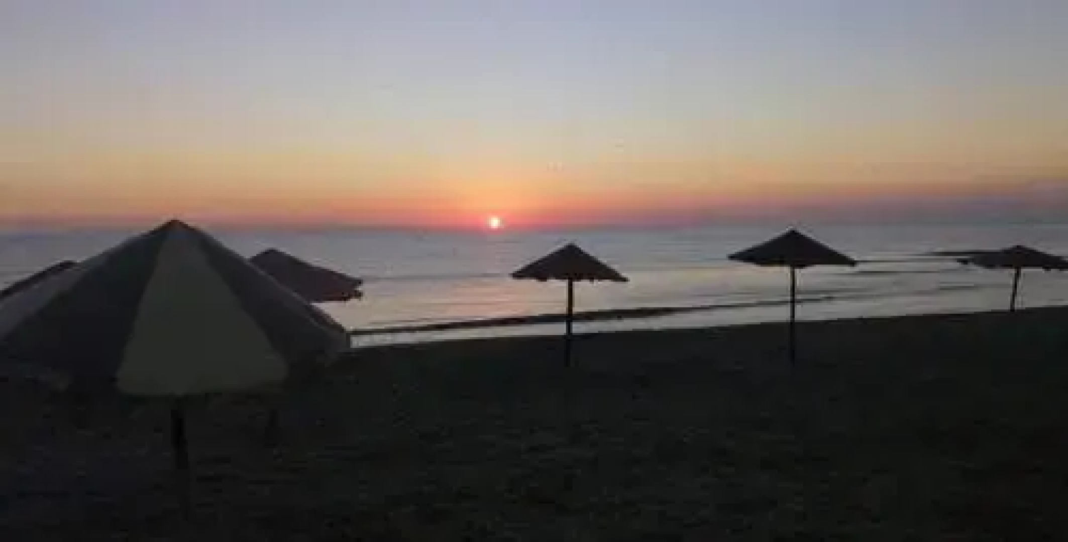 Lilac's Garden Cabo Negro