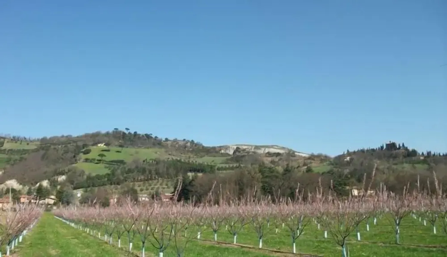 Verdidea - Podere la Casetta