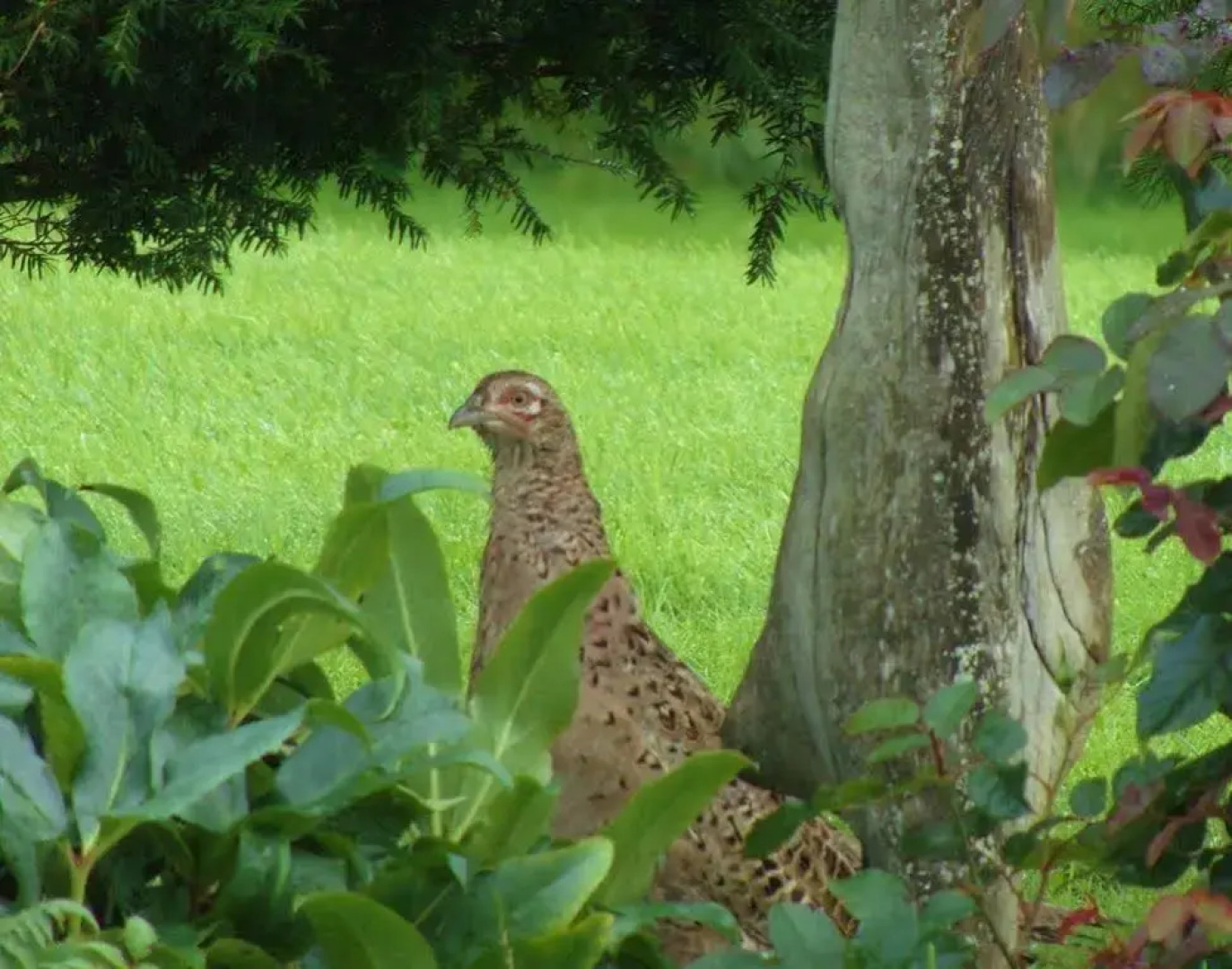 Serendipity Bed And Breakfast