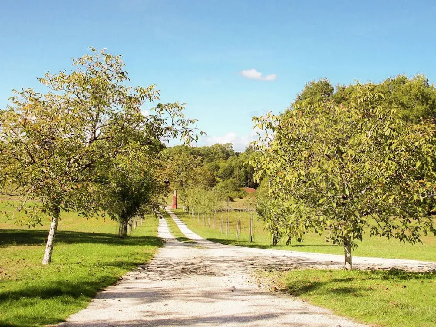 Farmstay Holiday Home in Issac France With Private Pool