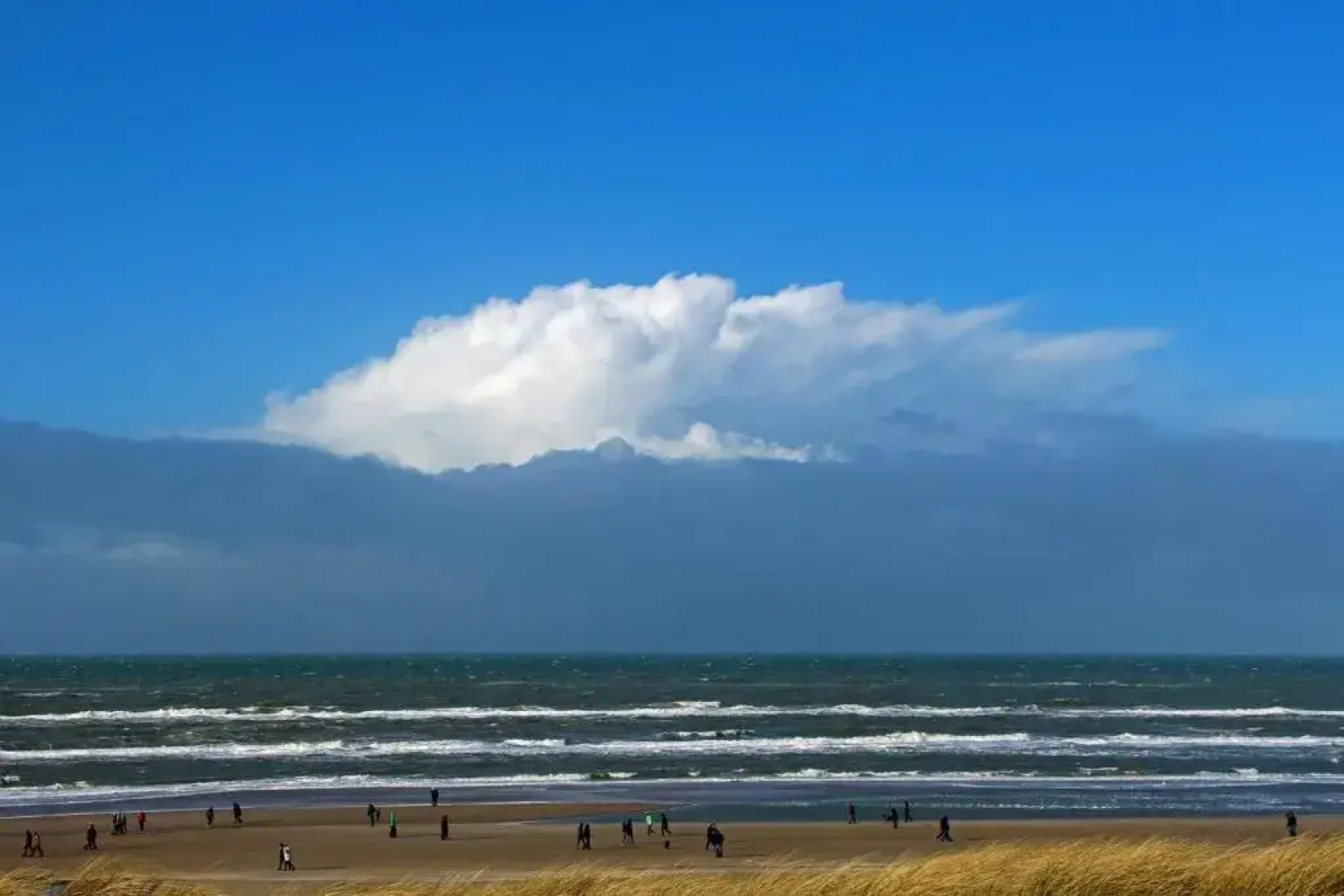 vakantiehuisje "De Blaauboer"