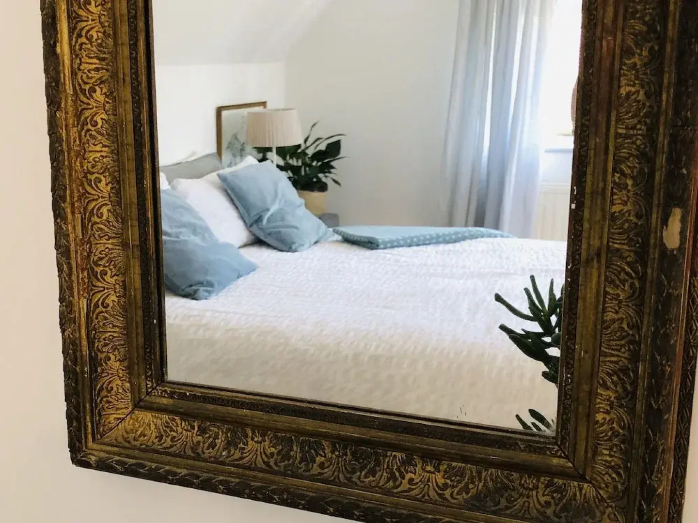 Corn Mill Cottage Spacious Apartment and B&B