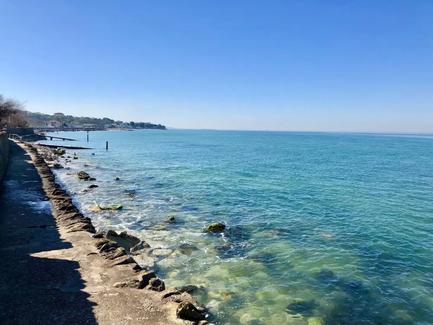 The Seashells - Seaview