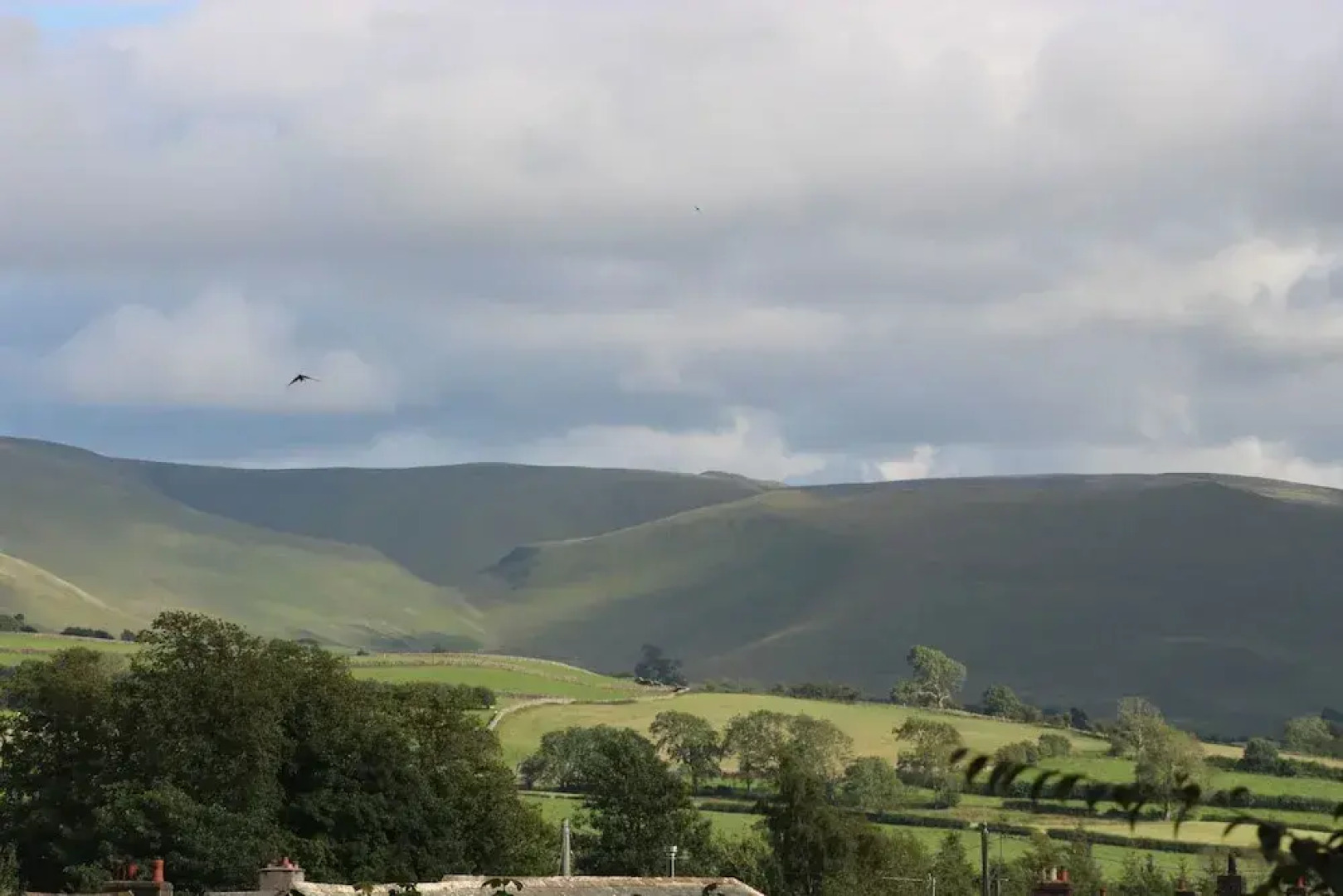 Woodlands Country House