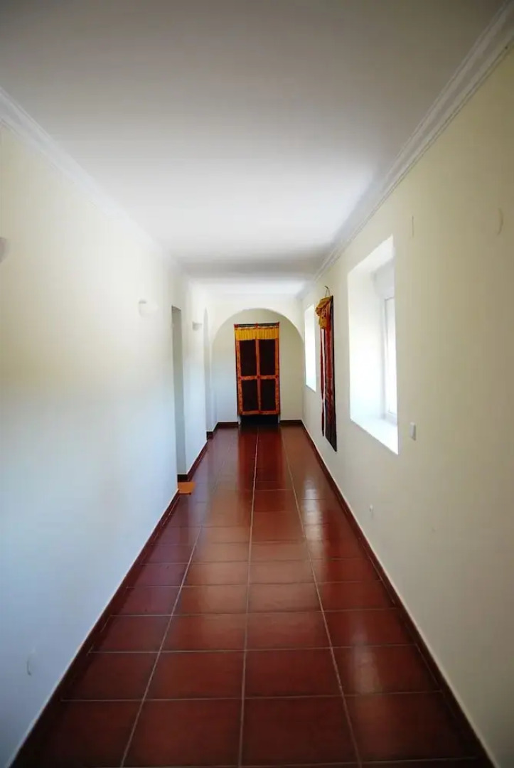 Buddha Peaceful Oasis