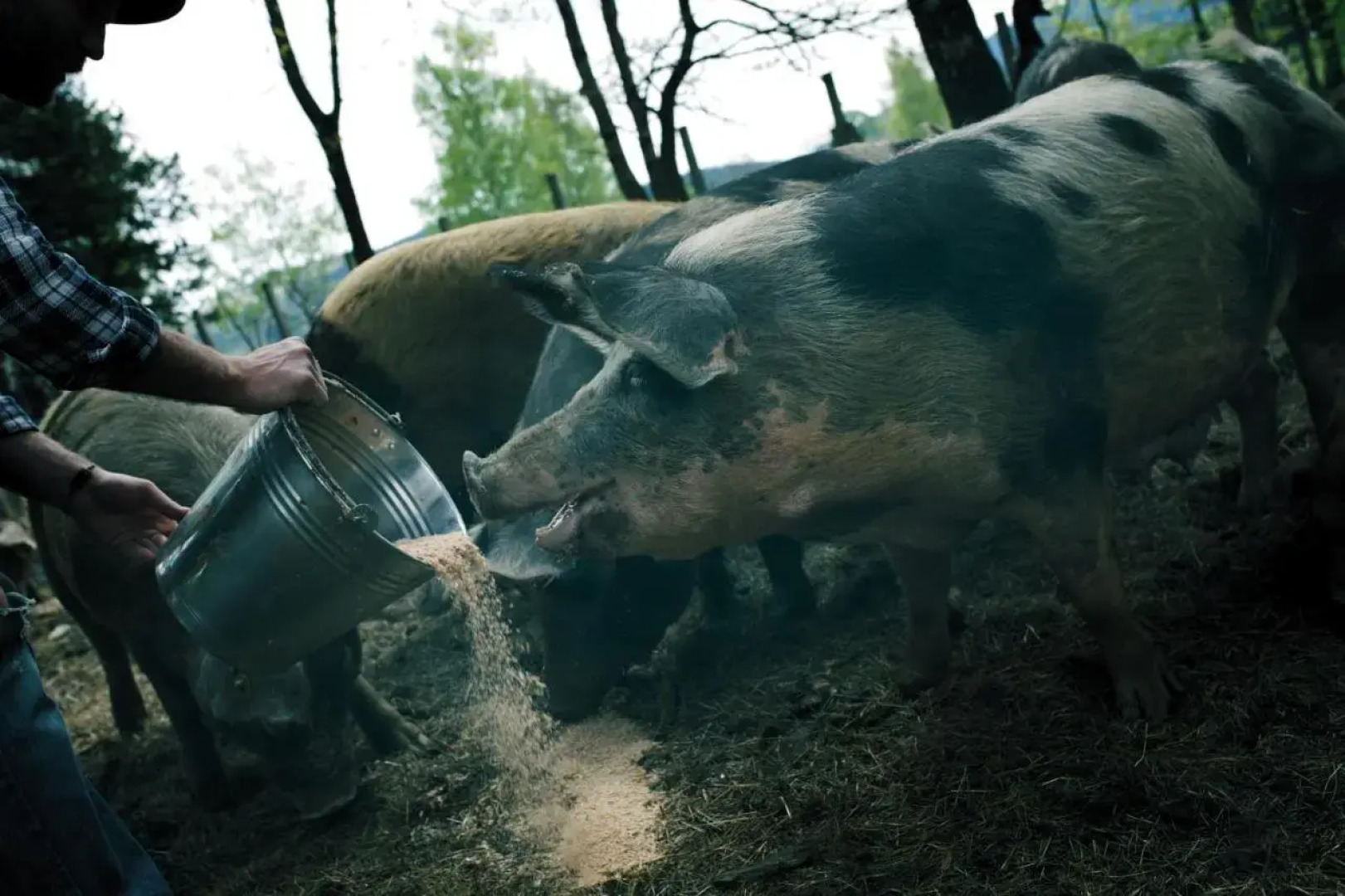 Eko - Farma Orlí vrch