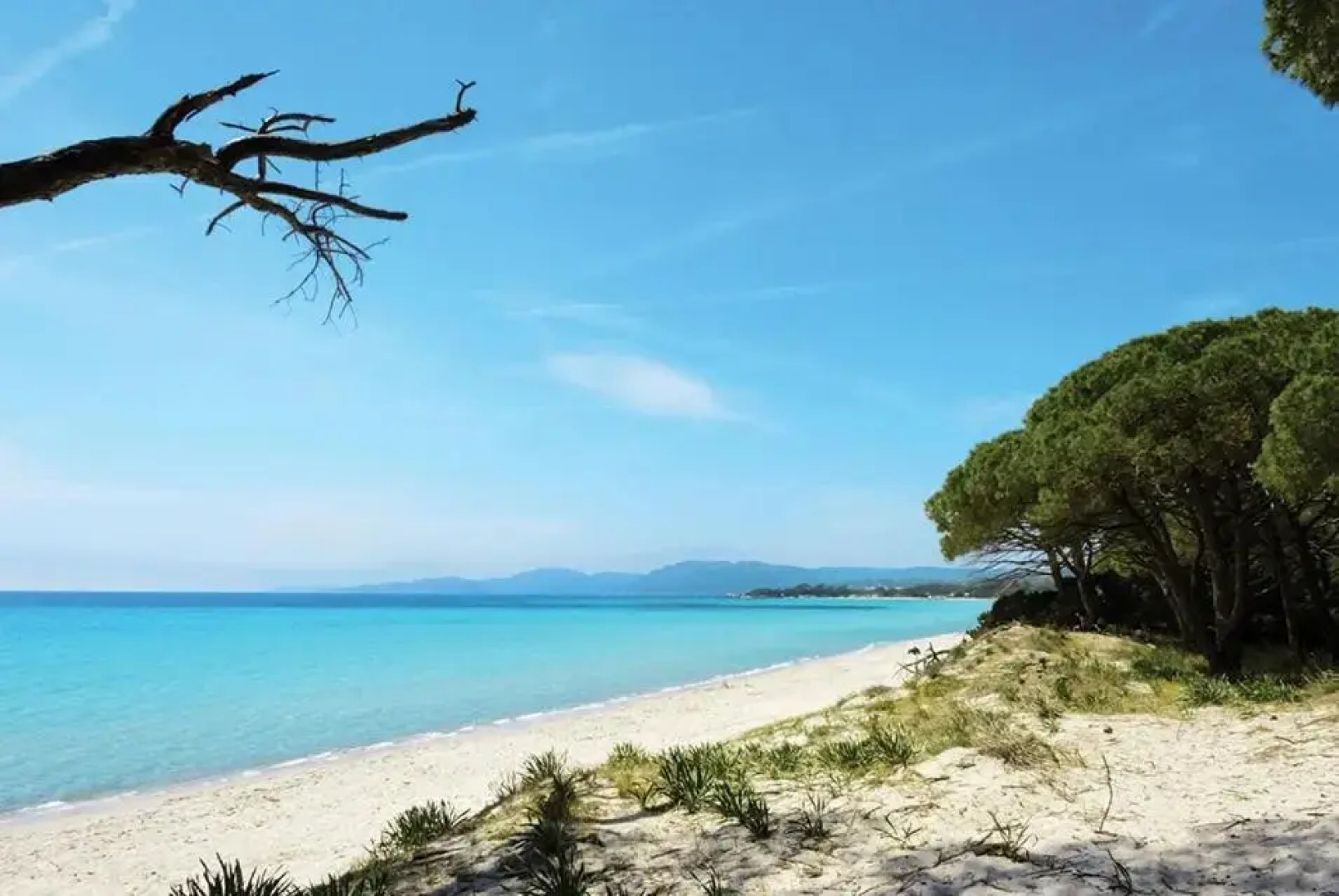 Grand T2 avec parking gratuit