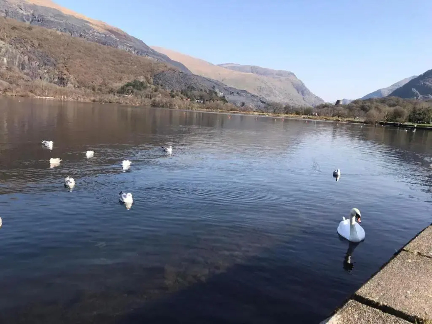 Llanberis Lodges