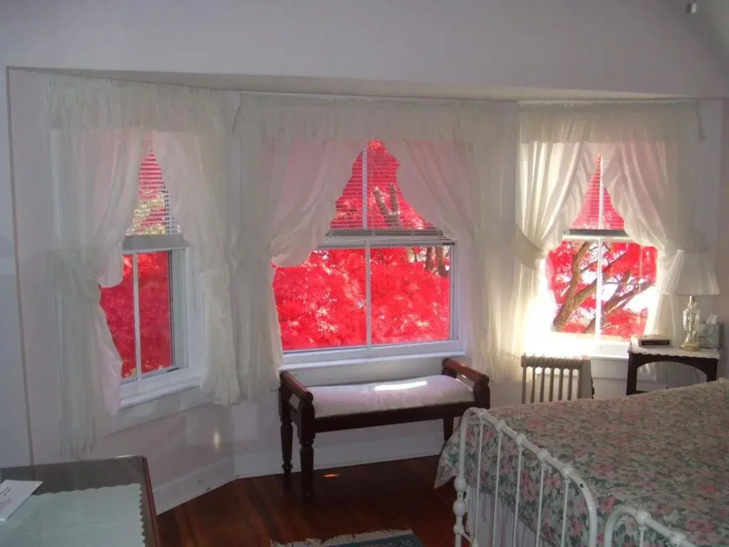 House on Chase Creek