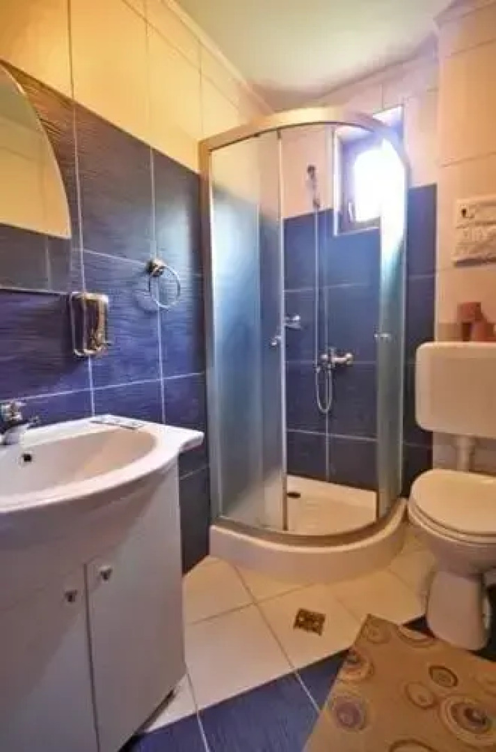 Pensiunea Juliana Arieseni