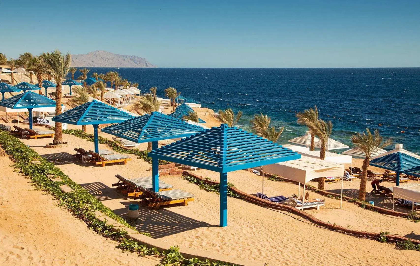 Grand Oasis Resort