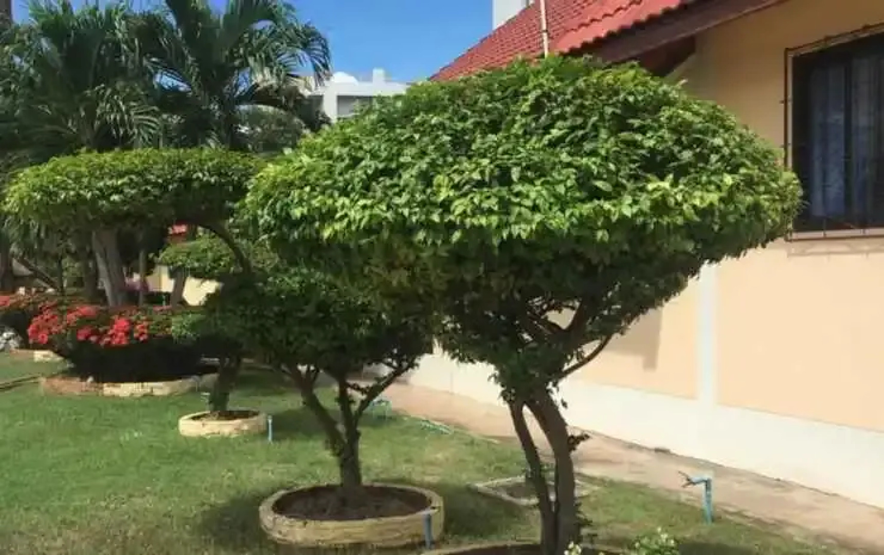 Puangkasem Country Resort