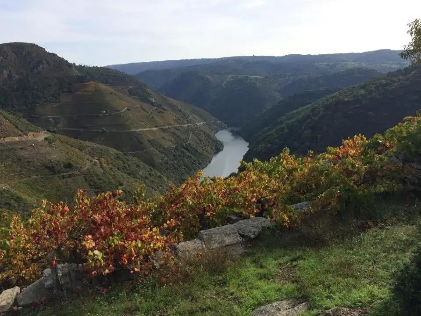 Acogedor Apartamento Ribeira Sacra
