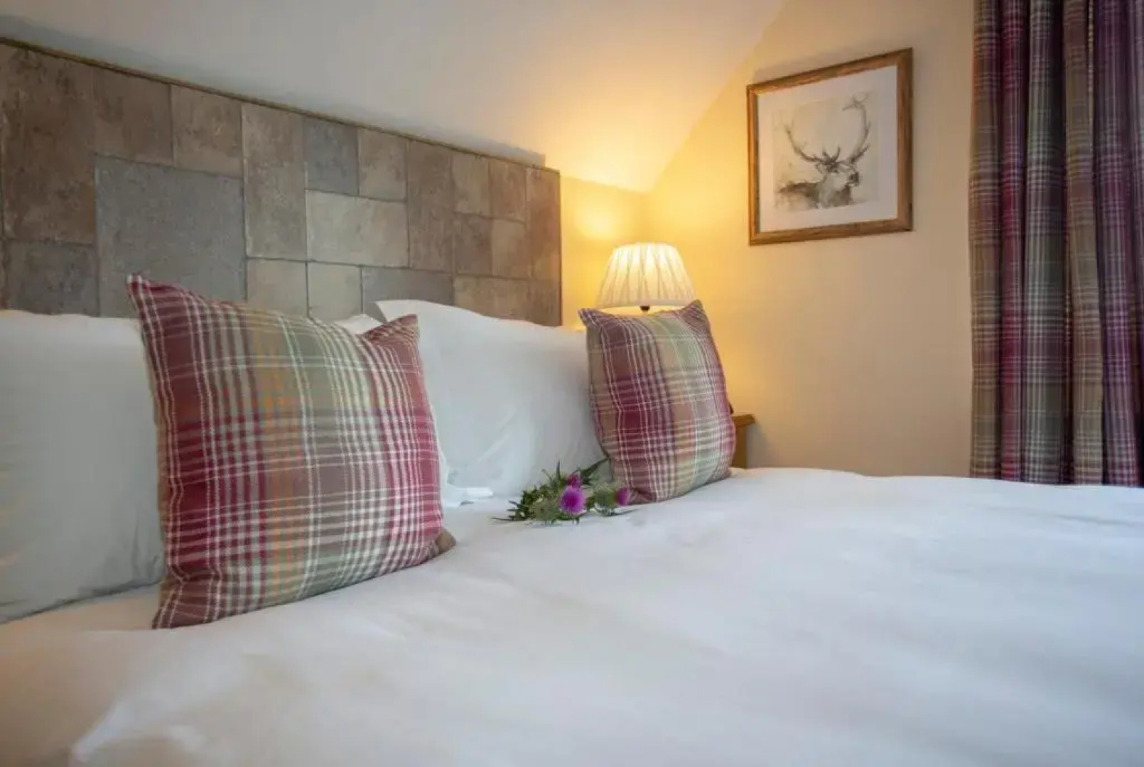 Springburn Farmhouse