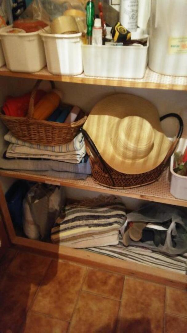 The large bougainvillea house