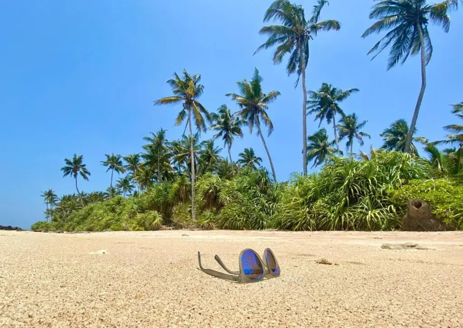 TS2W See More Beach Treehouse