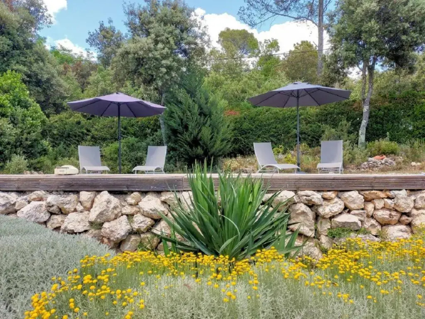 la Mésange Bleue du VERDON