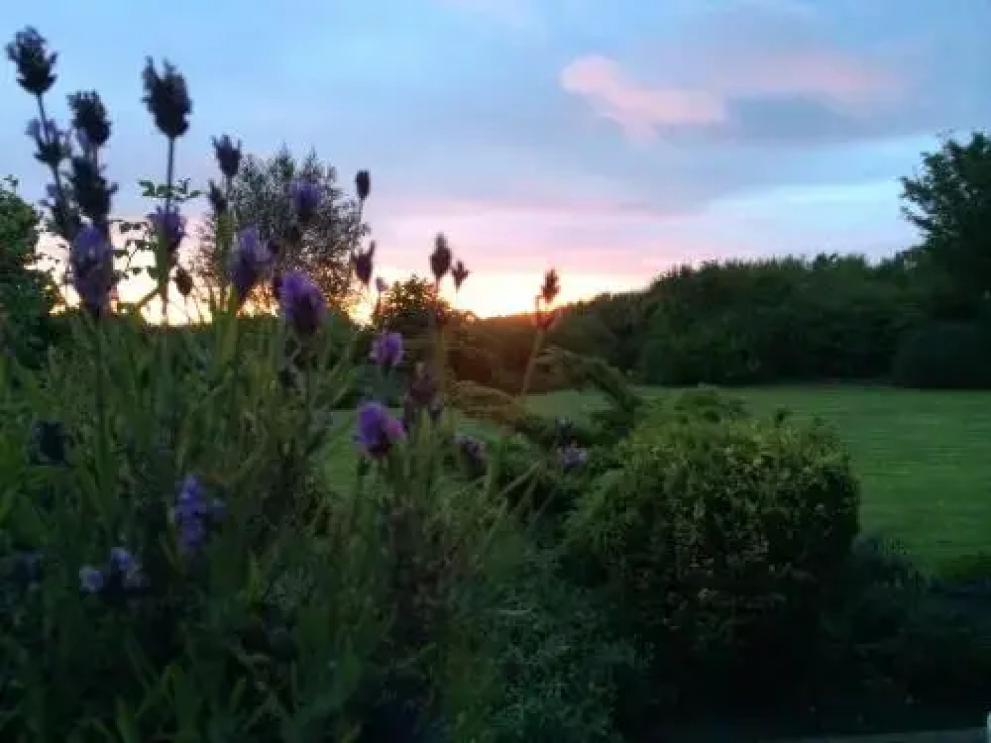 Shallowplough Bed & Breakfast