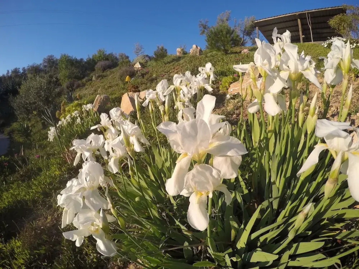 Luxury Villa with Great Mountain Views, Pool, Sauna, Jacuzzi And Padel Court