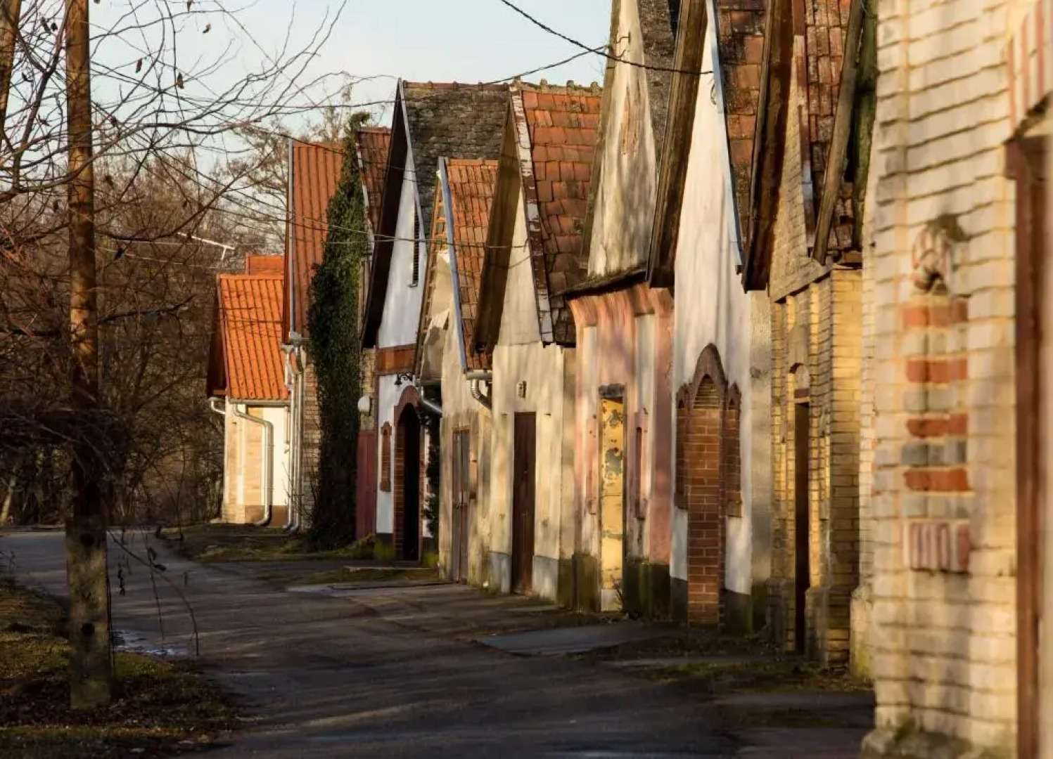 Berger Pince és vendégház