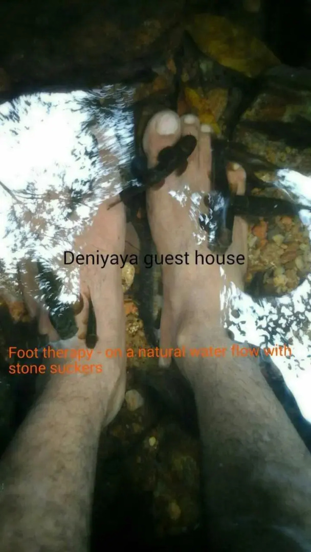 Deniyaya Guest House