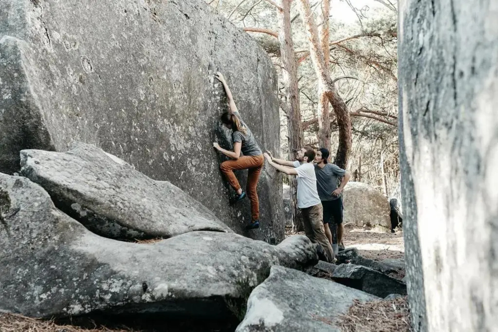 FORET DE FONTAINEBLEAU, chambre entrée privée.