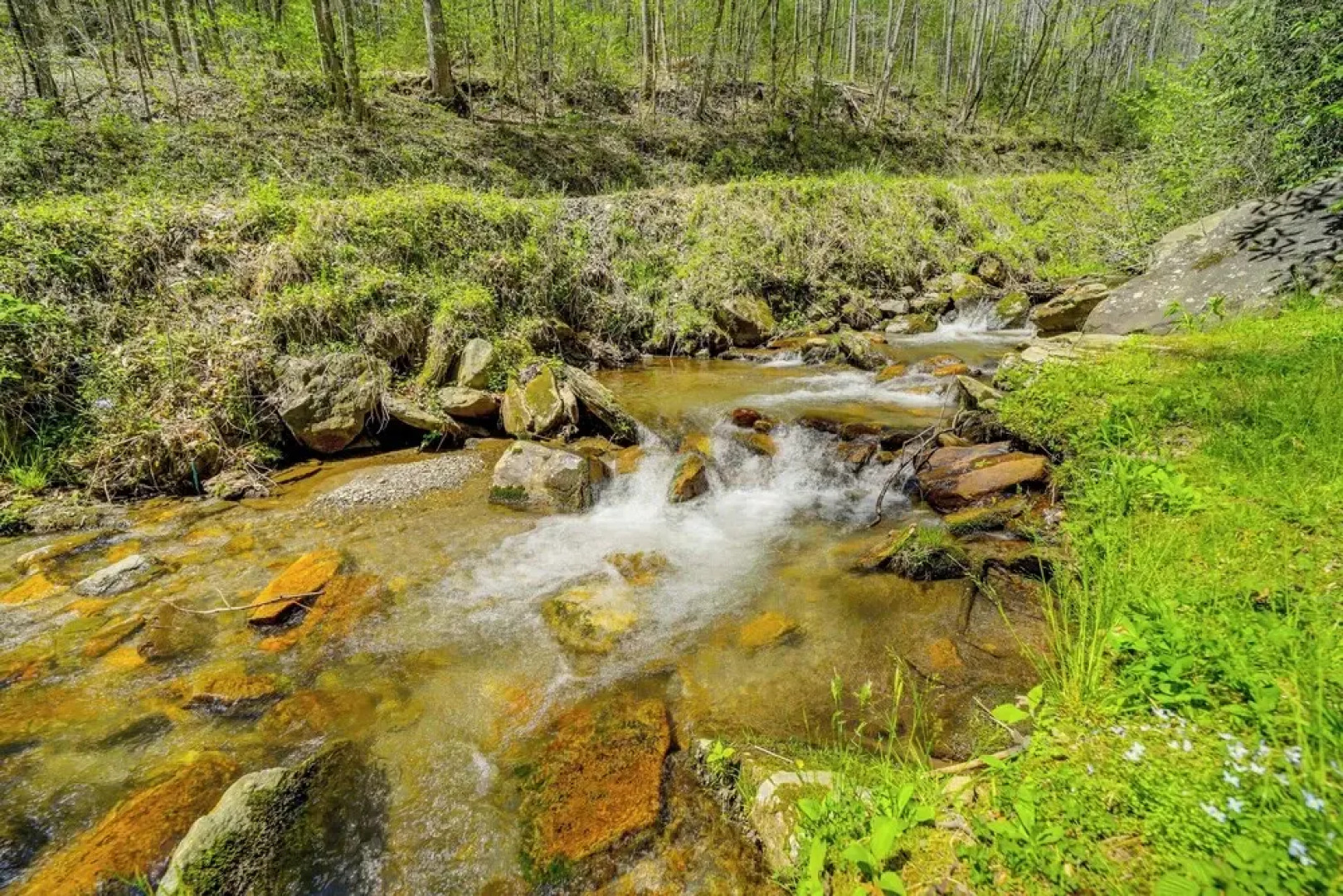 Creekside Cabin w/ Deck & Grill in Whittier!