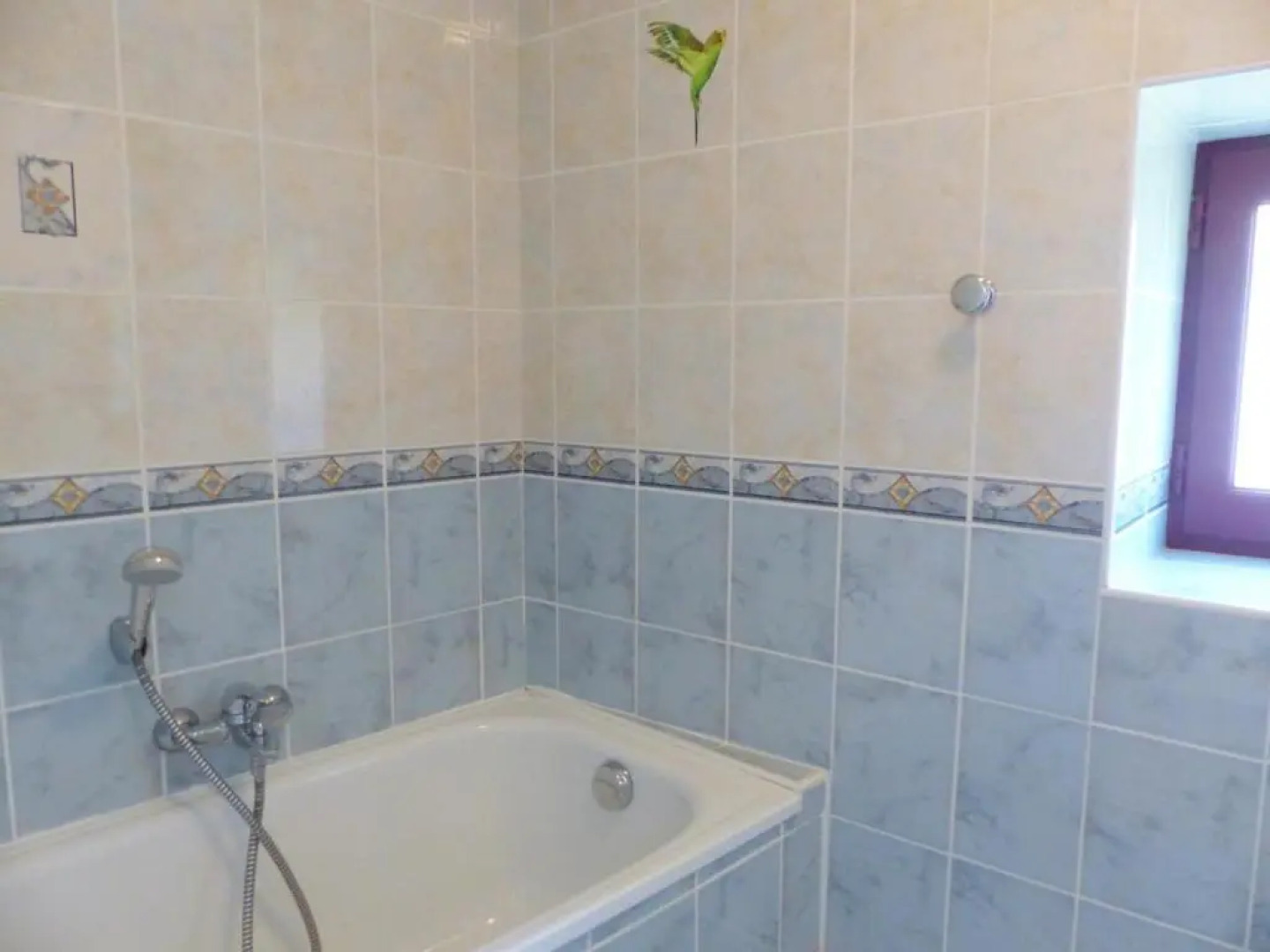 Gîte Ferrières-sur-Sichon, 4 pièces, 8 personnes - FR-1-489-212