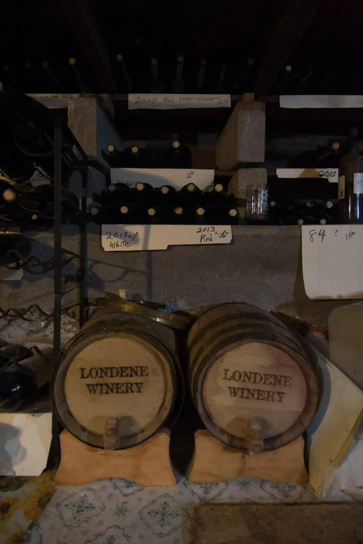 Red Horse Bed and Breakfast