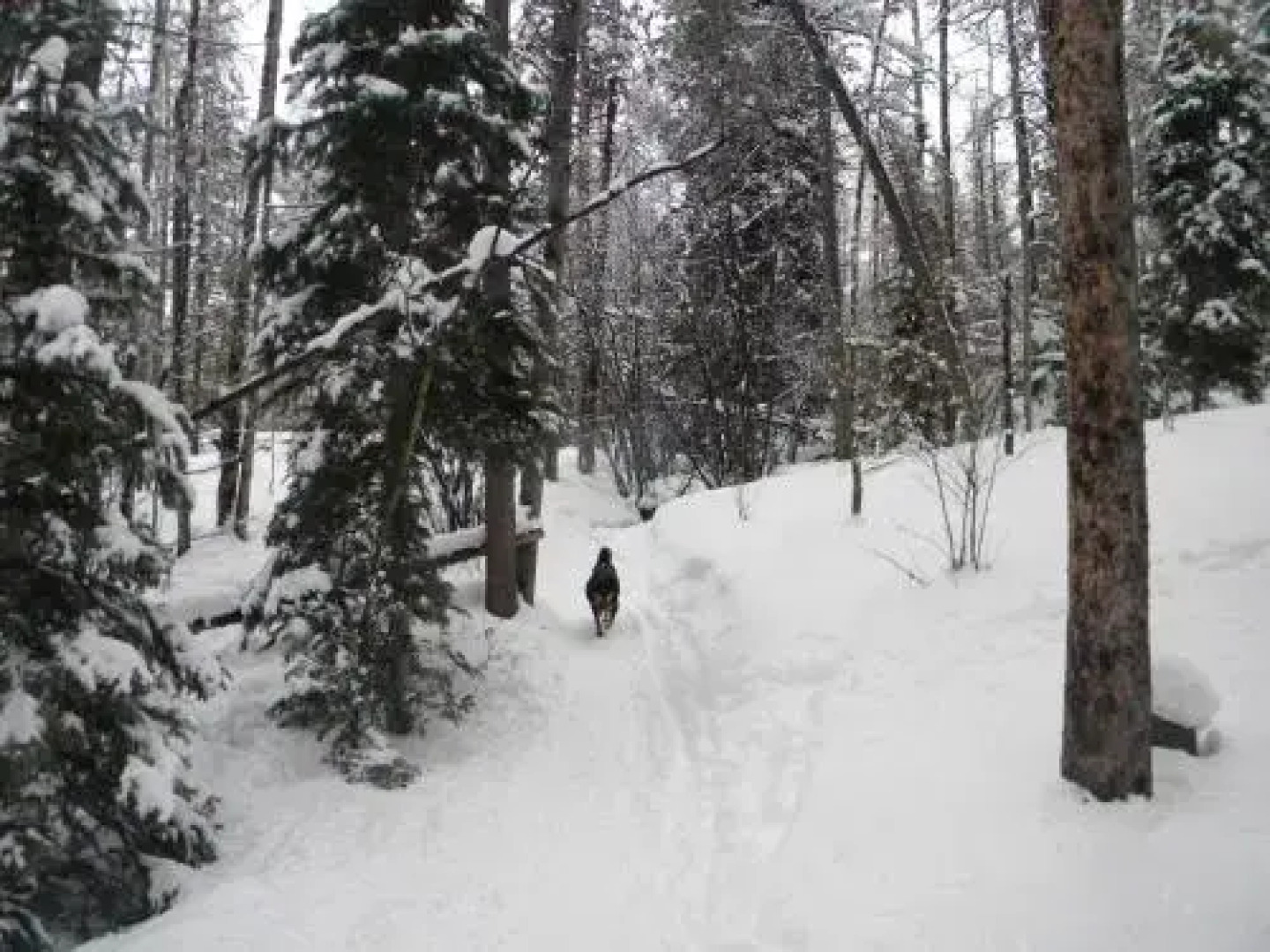 Cc301 Cross Creek By Redawning