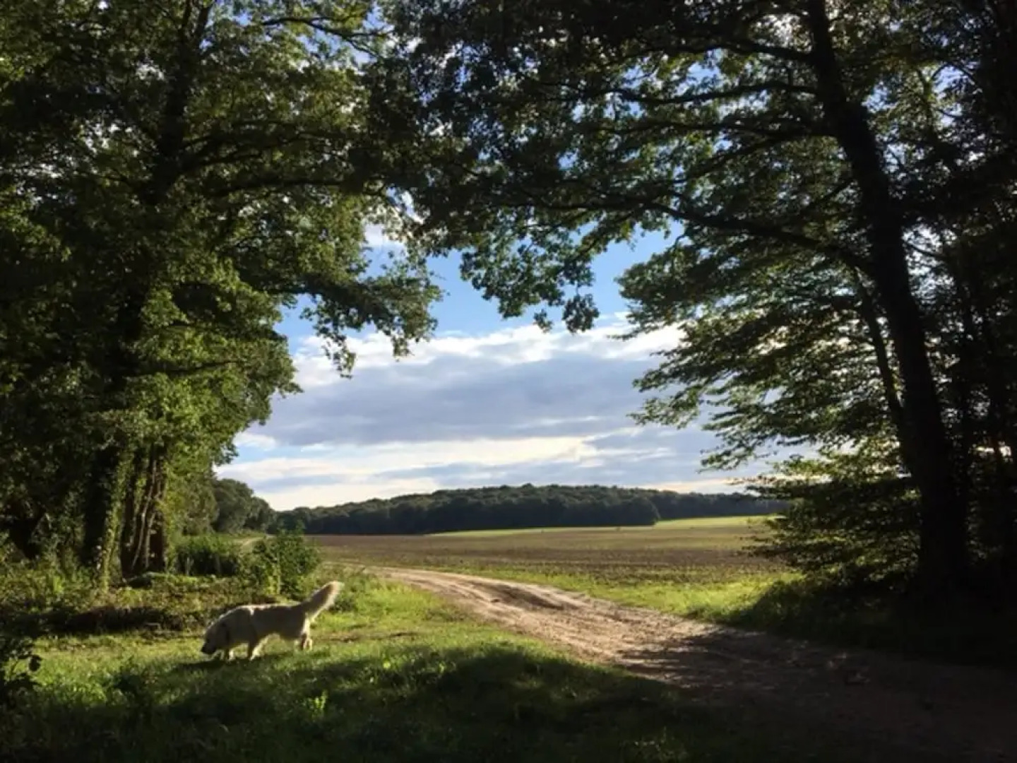 House With one Bedroom in Rochefort-en-yvelines, With Wifi