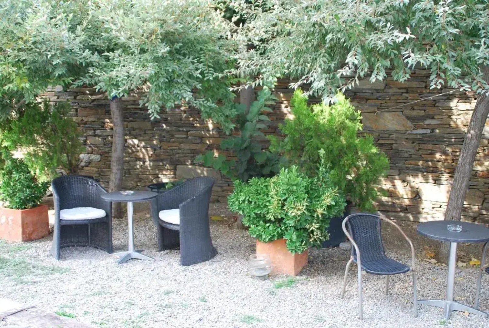 Tarongeta - Adults Only