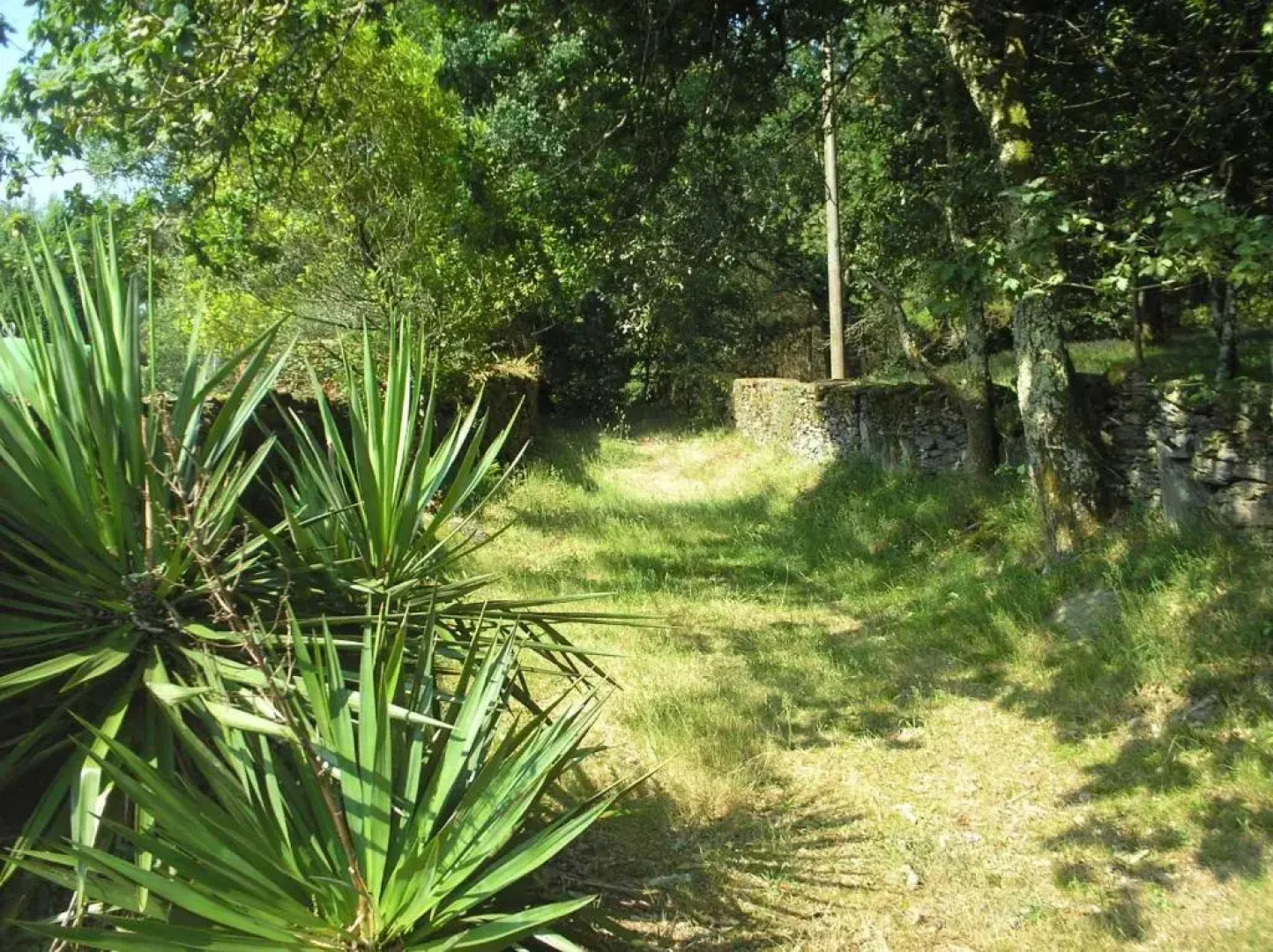 A Pena de Augasantas