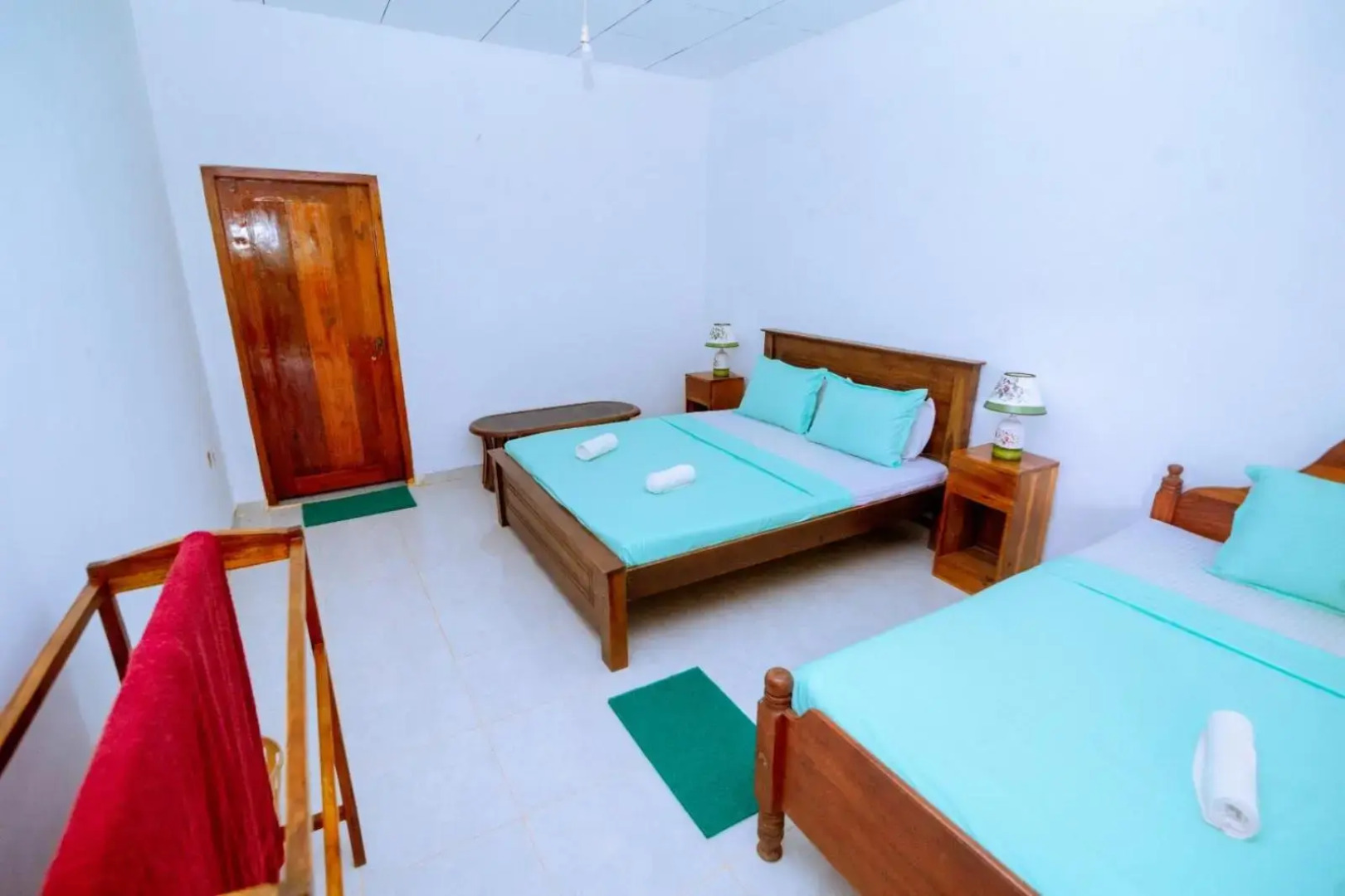 Rainforest River Edge