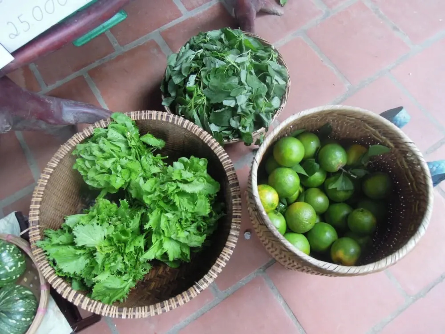 La Ferme du Colvert Resort Spa